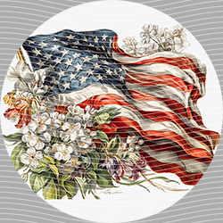 USA-MG 3973